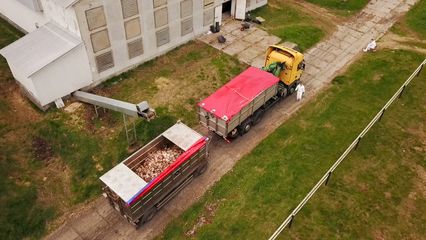 Poultry crisis in Poland: almost 18 million birds dead